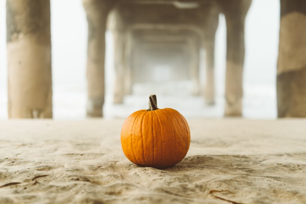 pumpkin on sand below pier