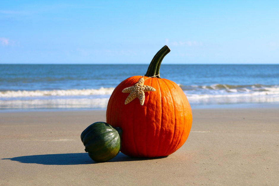 pumpkin on a beach
